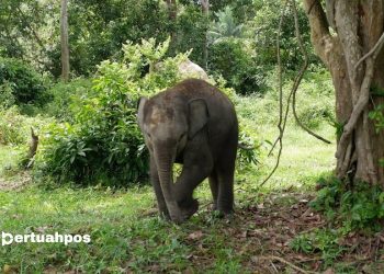 Melihat Keindahan Taman Wisata Alam Desa Buluh Cina — Cocok untuk Destinasi Wisata Keluarga