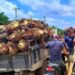 Harga CPO Melemah Seiring Lesunya Pasar Minyak Kedelai