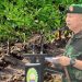 TNI AD Sosialisasikan Mikroba PA63 untuk Pulihkan Lahan Tandus Petani Singkong di Lampung Tengah