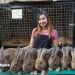 Peternakan Mikael Rabbit — Berawal dari Hobi, Kini Jadi Potensi Bisnis Menjanjikan