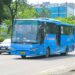 Di liputan khusus kali ini, Bertuahpos mengikuti perjalanan Putri. Dia mengajak suami, ibu dan dua anaknya yang masih kecil, naik Bus TMP gratis di HUT Pekanbaru ke-241. Hingga akhirnya mereka terpaksa naik taksi online untuk sampai ke tujuan akhir karena bus itu mogok di tengah perjalanan.