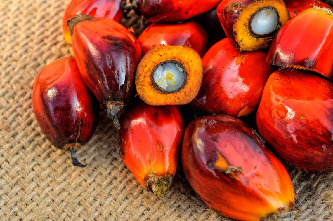 Harga CPO Anjlok ke Bawah RM4.000 Usai Redanya Ketegangan Timur Tengah