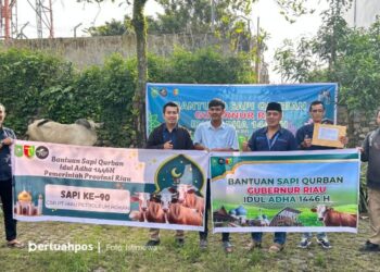 Pemprov Riau Salurkan 131 Ekor Sapi Kurban