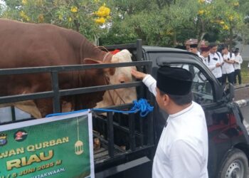 Polda Riau Salurkan 199 Hewan Kurban