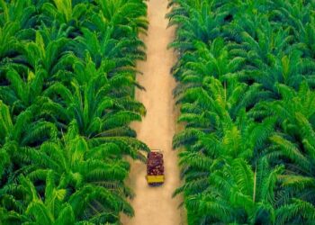 Desa Tanjung Sawit Raih Predikat Desa Terbaik Riau 2025, Wakili Provinsi ke Tingkat Nasional