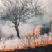 899 Hektare Lahan di Riau Terbakar, Gubernur Abdul Wahid Takut Asap Mengarah ke Malaysia