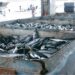 Pemprov Riau Targetkan Pembangunan Pelabuhan Ikan Terintegrasi Standar Internasional di Rokan Hilir