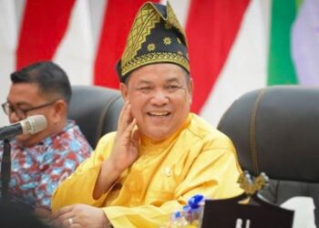 Tolak Pinangan LAM, Wagubri: Saya Belum Banyak Berkontribusi untuk Riau