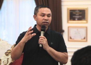 Tantangan dan Peluang Investasi Riau 2025