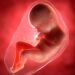Pecahkan Rekor, Bayi dari Embrio Tertua Lahir
