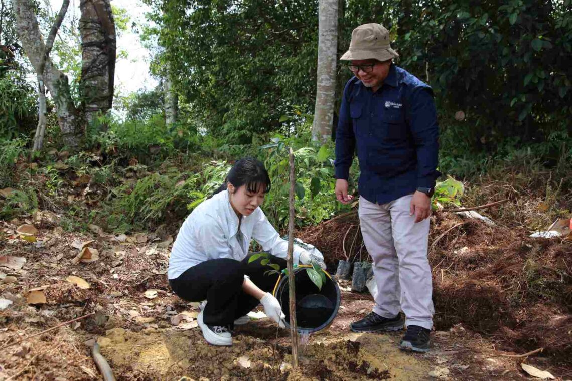 Peringati Hari Konservasi Alam Nasional 2025, Belantara Foundation & Pelajar Jepang Tanam Pohon di Tahura Riau 