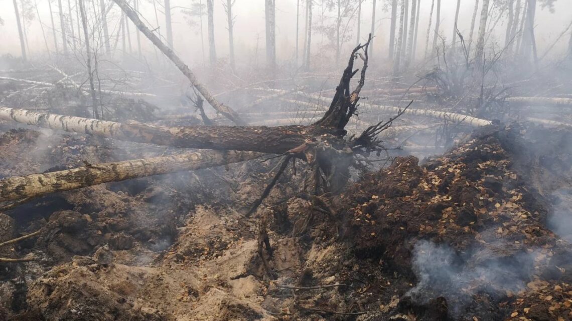 Bagaimana Fungsi Lahan Gambut dalam Menyumbang Emisi Karbon?