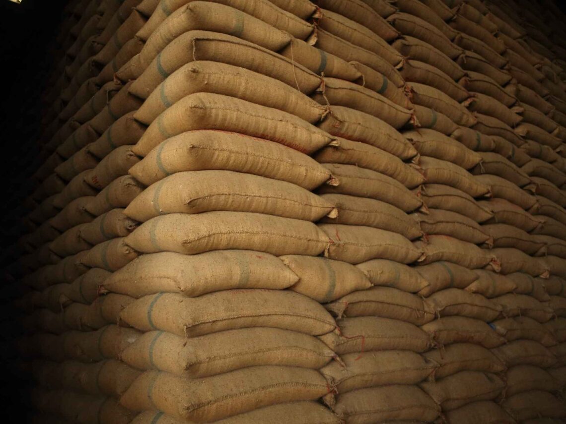 Stok Melimpah, Kenapa Harga Beras Masih Tinggi?