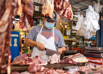 Ratusan Ribu Ton Daging Sapi Terancam Gagal Masuk Akibat Izin Impor Lelet