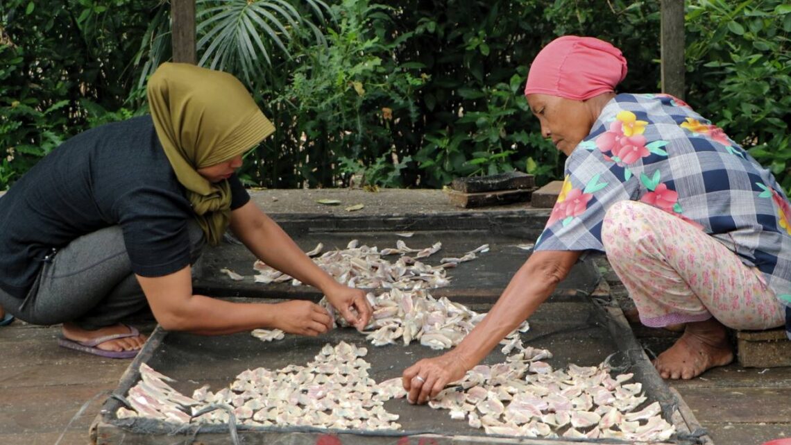 Koperasi Desa Dorong Pengembangan Pertanian dan Perikanan
