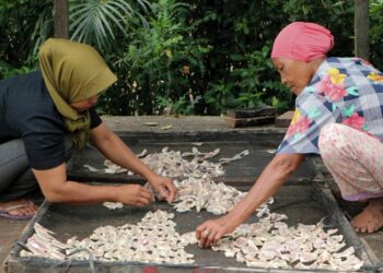 Koperasi Desa Dorong Pengembangan Pertanian dan Perikanan