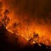 Krisis Iklim Perparah Risiko Kebakaran Hutan