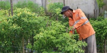Kementan mendapat alokasi Rp89 triliun dari Rp200 triliun dana pemerintah yang ditempatkan di Himbara. Dana ini diharapkan memperkuat sektor pertanian dan menjadikan Indonesia super power pangan. Harga Cabai Naik Picu Lonjakan IPH di 17 Provinsi, Bengkulu dan DKI Jakarta Tertinggi
