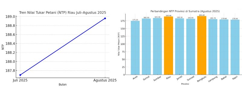 Nilai Tukar Petani Riau per Agustus 2025 naik 0,67% menjadi 188,96. Riau menjadi provinsi dengan NTP tertinggi kedua di Sumatra setelah Bengkulu.