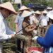 Kolaborasi Multipihak Dorong Agroforestri Riau Jadi Model Ekonomi Hijau
