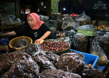 POJK No 19 2025 Permudah Akses Pembiayaan UMKM