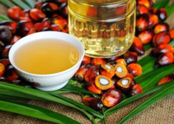 Ramalan Harga CPO Hari Ini, 29 September 2025