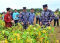 Menanam Asa di Tanah Lampung: Langkah Nyata Kasal Muhammad Ali untuk Wujudkan Kemandirian Pangan