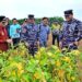 Menanam Asa di Tanah Lampung: Langkah Nyata Kasal Muhammad Ali untuk Wujudkan Kemandirian Pangan