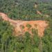 Ini yang Diinginkan Pemerintah Pusat untuk Solusi Perambahan Hutan di TNTN
