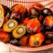 Harga CPO Melemah, Pasar Tertekan oleh Kenaikan Produksi