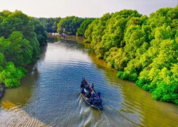 Rehabilitasi mangrove di Inhil terus dipercepat, 1.683 hektare sudah ditanam. Target 2024–2027 mencapai 5.858 hektare di pesisir Riau.