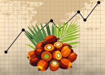 Harga CPO Naik, Pasar Perlu Waspadai Nilai Tukar Ringgit
