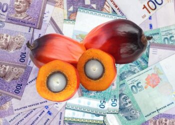 Harga CPO Naik, Cek Penjelasannya di Sini