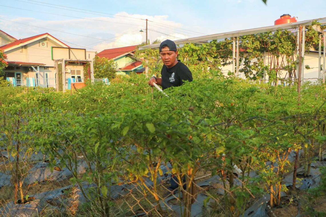 Merajut Asa Ketahanan Pangan di Kompleks Perumahan