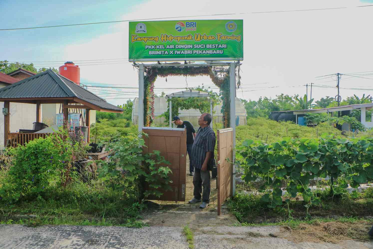 Merajut Asa Ketahanan Pangan di Kompleks Perumahan