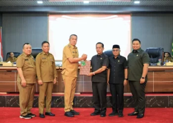 Wabup Kepulauan Meranti Paparkan RAPBD 2026: Fokus Utama Pelayanan Publik & Infrastruktur