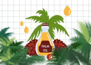 Harga CPO Naik Tipis di Tengah Pemulihan Pasar yang Tidak Merata