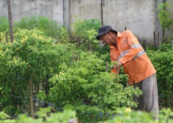 Ancam Inflasi Riau di Akhir Tahun