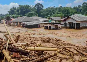 BNPB: 916 Korban Meninggal akibat Banjir dan Longsor Sumatera per 7 Desember 2025