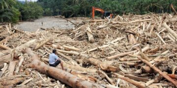 KLH: Hilangnya Ribuan Hektare Tutupan Hutan Perparah Banjir dan Longsor di Sumatera