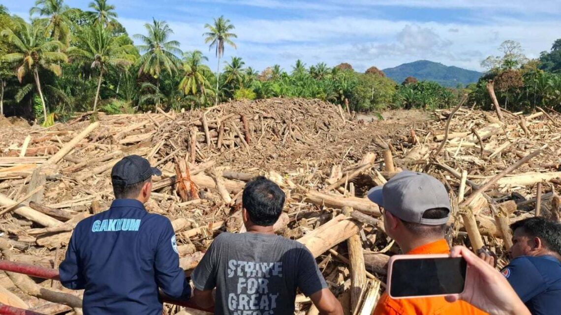 KLH Pastikan Kayu Gelondongan Banjir Sumut Hasil Penebangan, Empat Perusahaan Dihentikan Sementara
