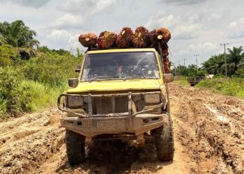 Kebun Tua dan Hilirisasi Sebatas Rencana, “Kebijakan” Sawit Belum Adil untuk Riau