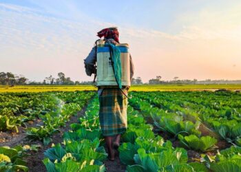 Riau Menyiapkan Strategi Ketahanan Pangan