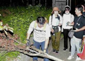 Kreatif, Mahasiswa Jepang Ini Ubah Latihan Evakuasi Tsunami Jadi Permainan dengan Skenario Gempa di Malam Hari