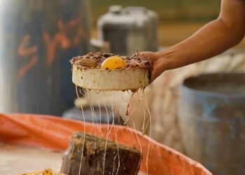 Bisnis Utama Kami Bukan Bertani, Tapi Mengolah Limbah Organik Jadi Pupuk Bernilai Guna