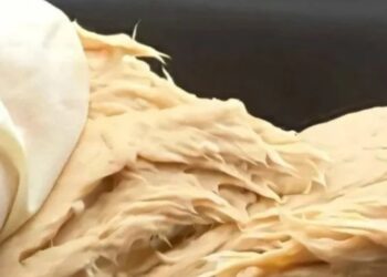 Jamur Rekayasa Genetik Ini Siap Gantikan Daging, Gizi Lebih Tinggi dan Ramah Lingkungan