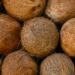 Belum Ada Rencana Moratorium, Harga Kelapa Masih Bagus, Biarlah Petani Menikmati Hasilnya