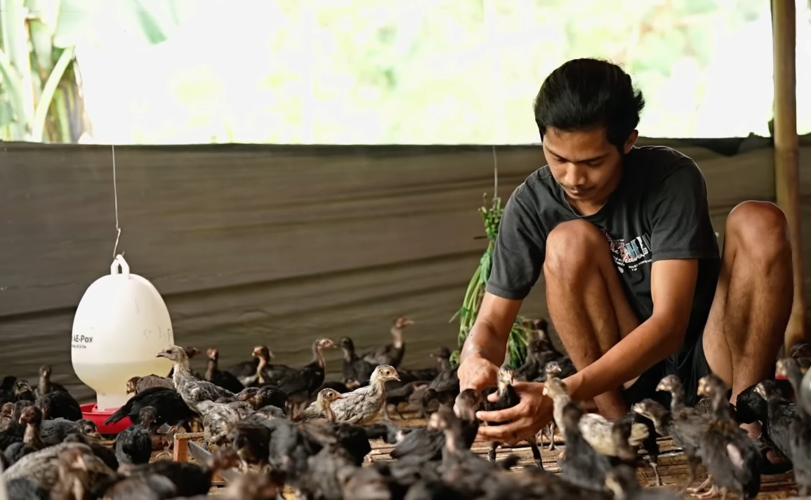 Rejo Farm Bisnis Utama Kami Bukan Bertani, Tapi Mengolah Limbah Organik Jadi ...