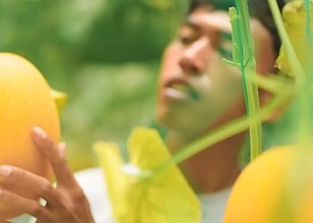 Greenhouse Tropis Berbasis IoT, Bagaimana Teknologi Menjawab Masalah Krisis Lahan?