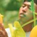 Greenhouse Tropis Berbasis IoT, Bagaimana Teknologi Menjawab Masalah Krisis Lahan?
